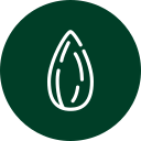 Icon Mandel