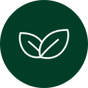 Icon Vegan